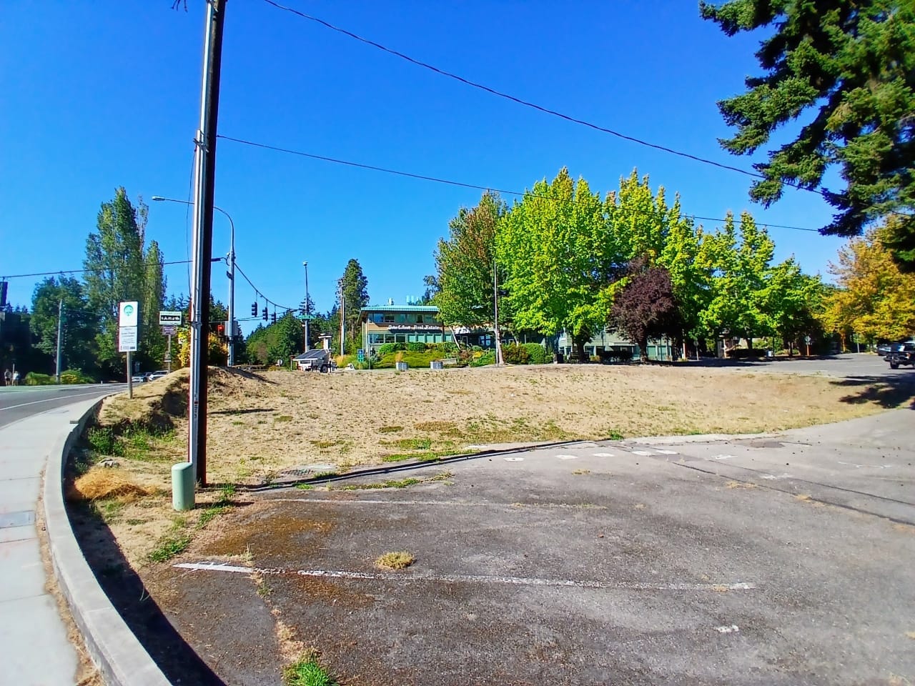 Path Clears for Bainbridge Affordable Housing Project After Appeal Dismissal
