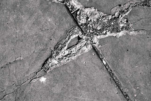 Save Seattle: Tax, License & Insure Pedestrians