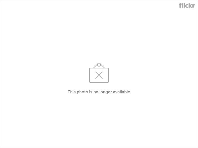 Tweet of the Week: OMG, new trolleybuses