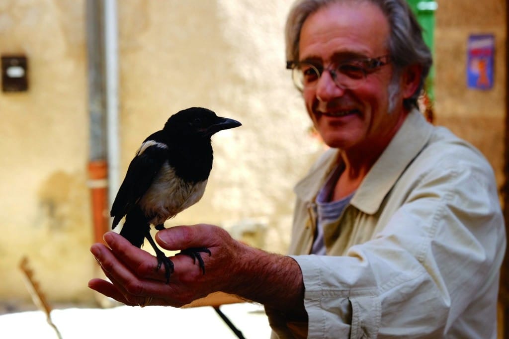 Looking Behind the Common Sense Elements of City Life