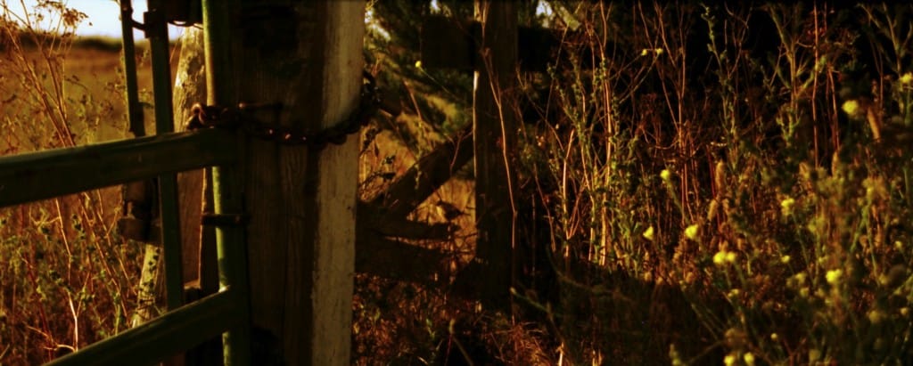 Let’s Hear it for Rats