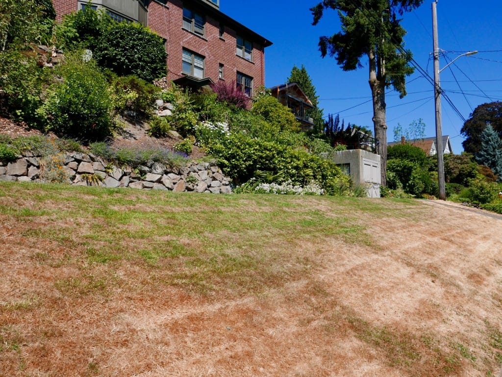 Revisiting Sustainable Housing, Politics and a Basic Pride of Place