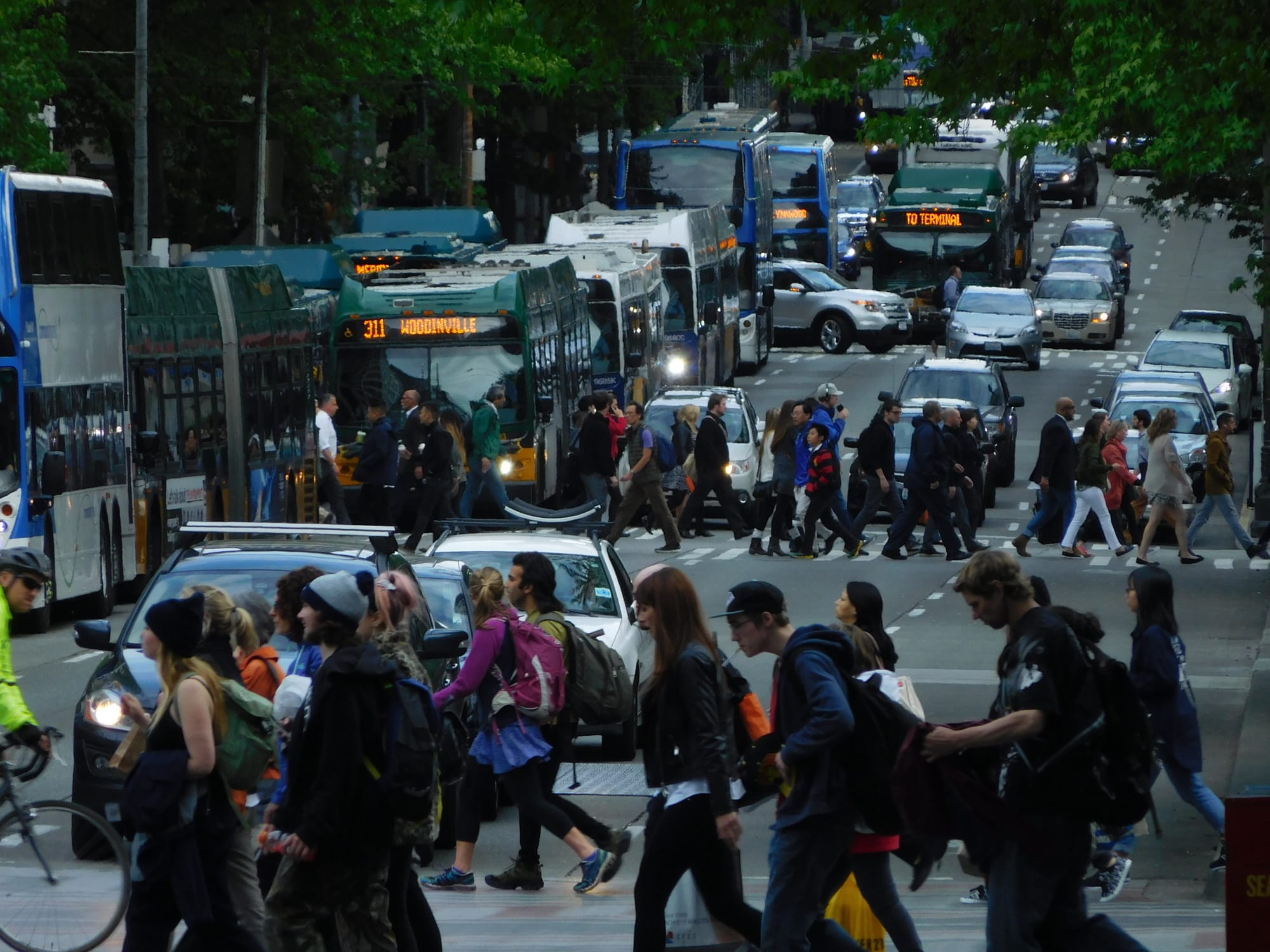 An Open Letter To Elon Musk