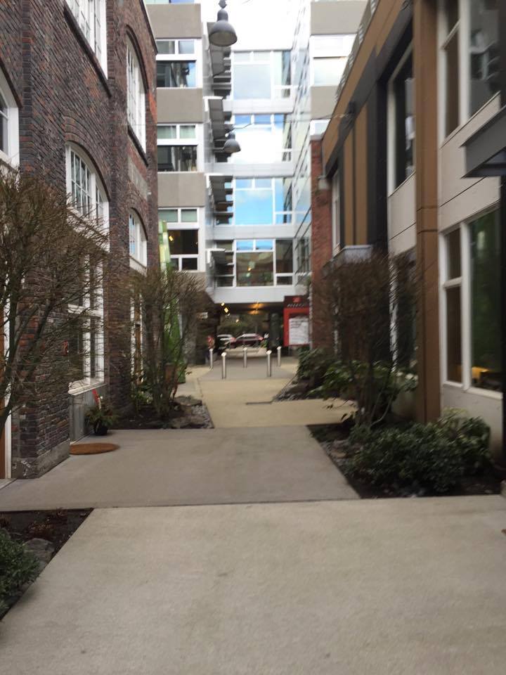 (Photo by Stephen Fesler)