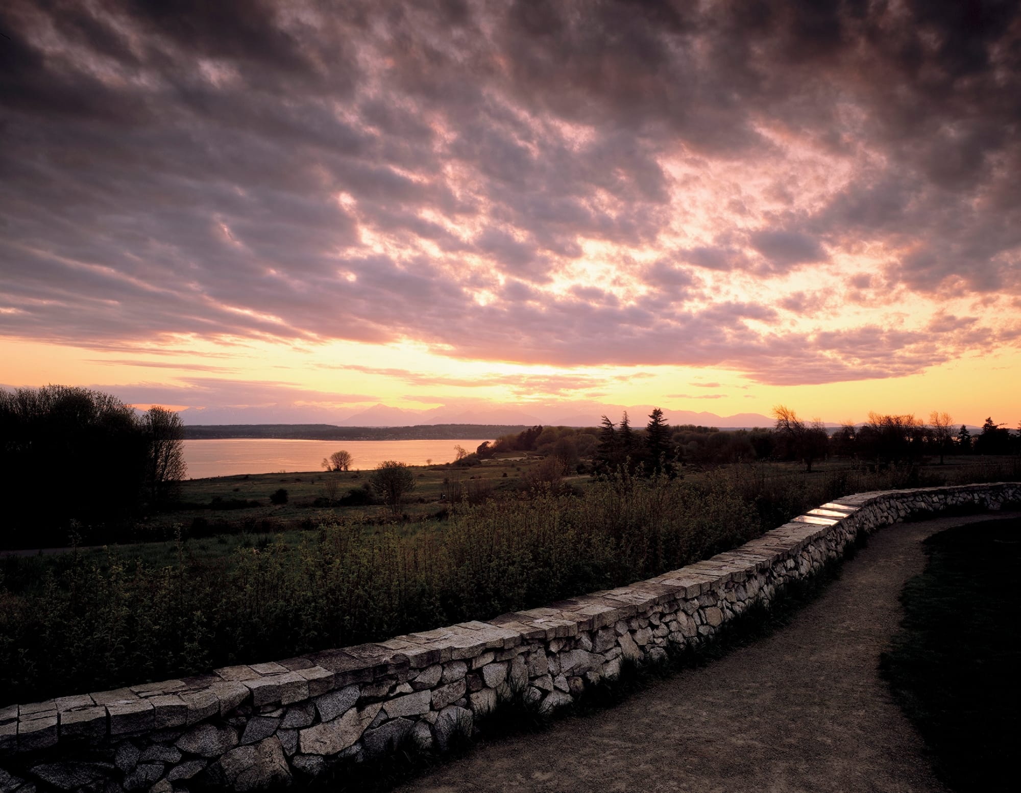 Swift Company project at Discovery Park, Photo by B. Benschneider, Courtesy of Swift Company.