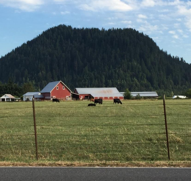 Vote No On HB 1504: Protect Natural Resource Lands