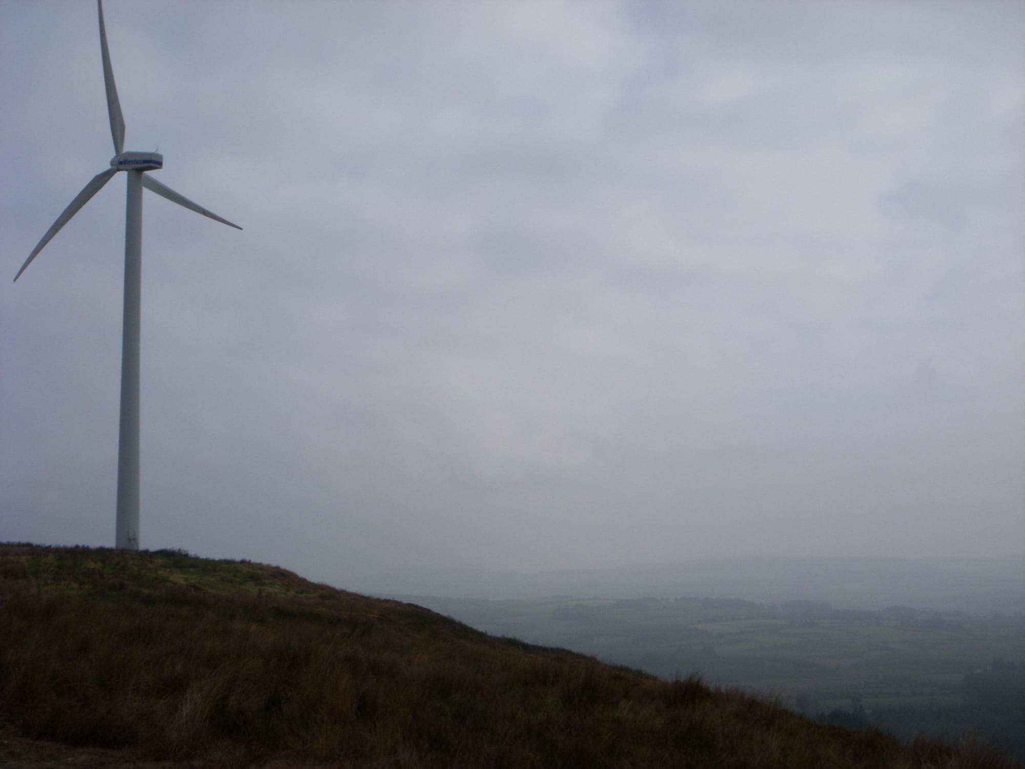 Link Light Rail Is Going 100% Carbon Neutral In 2019