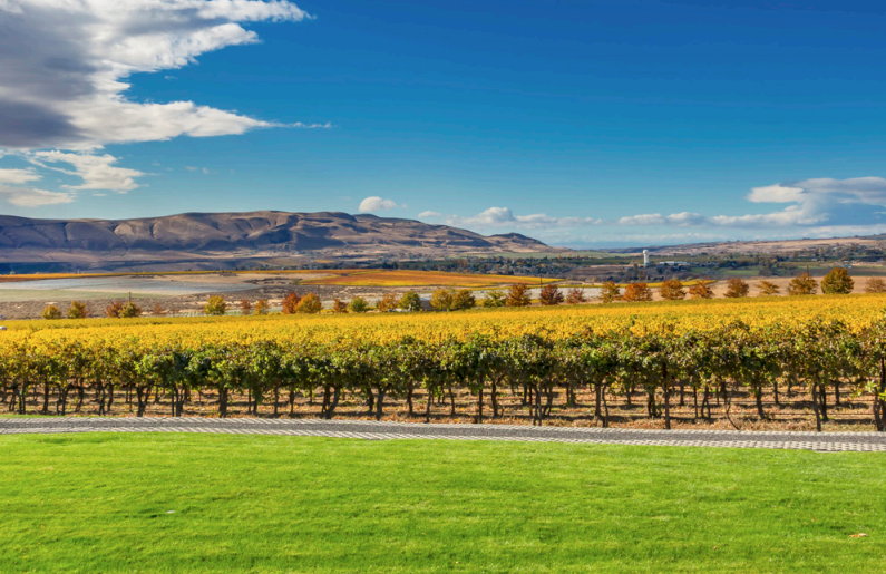                      $20 Per Ton: Governor Inslee Proposes Carbon Tax
                     