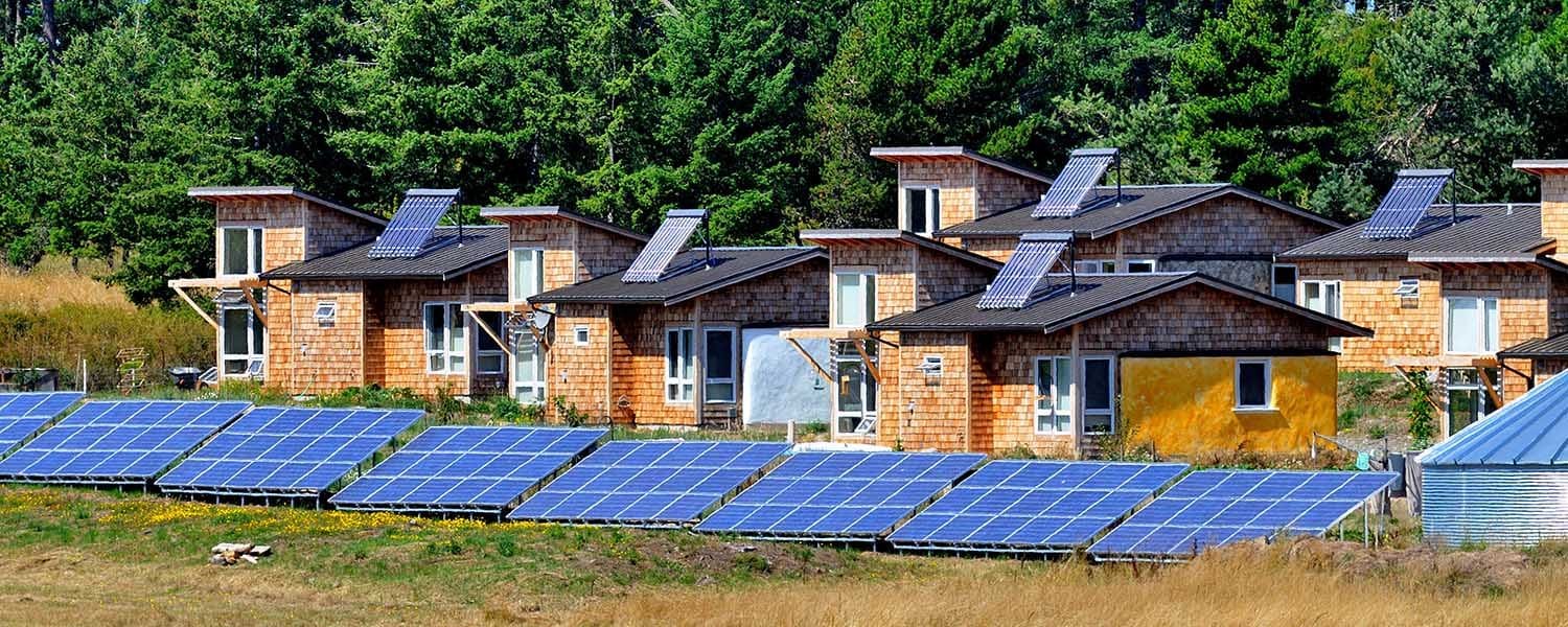 The Crisis of Late Capitalism in Seattle