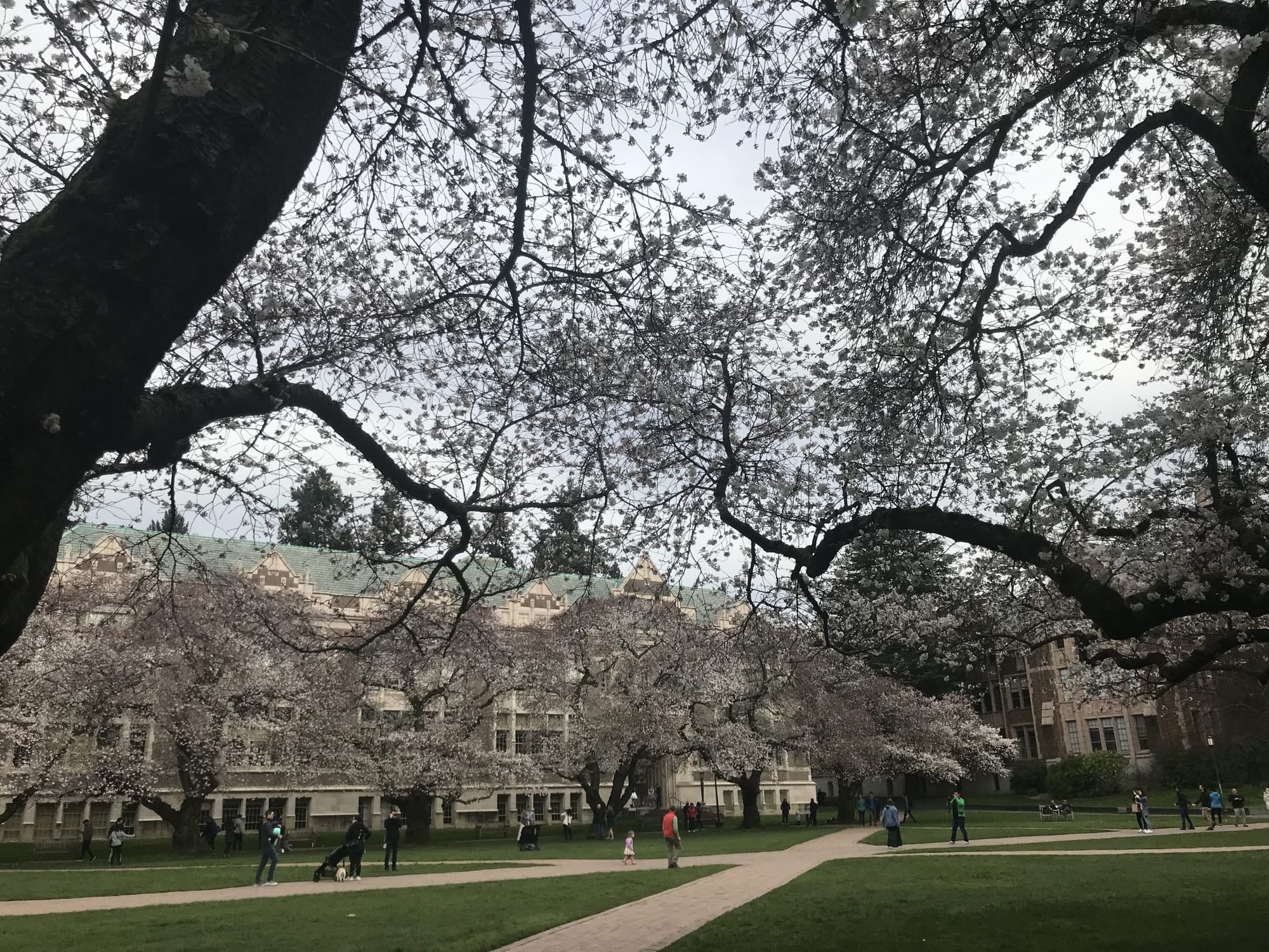 What We’re Reading: Kenmore Urbanism, Federal Regression, and Disputable Fugures