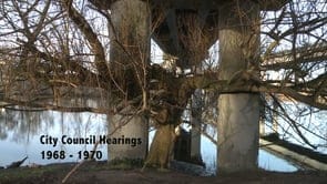 Sunday Video: Seattle Freeway Revolt