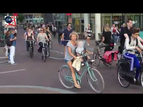 Sunday Video: Busiest Dutch Bicycle Path
