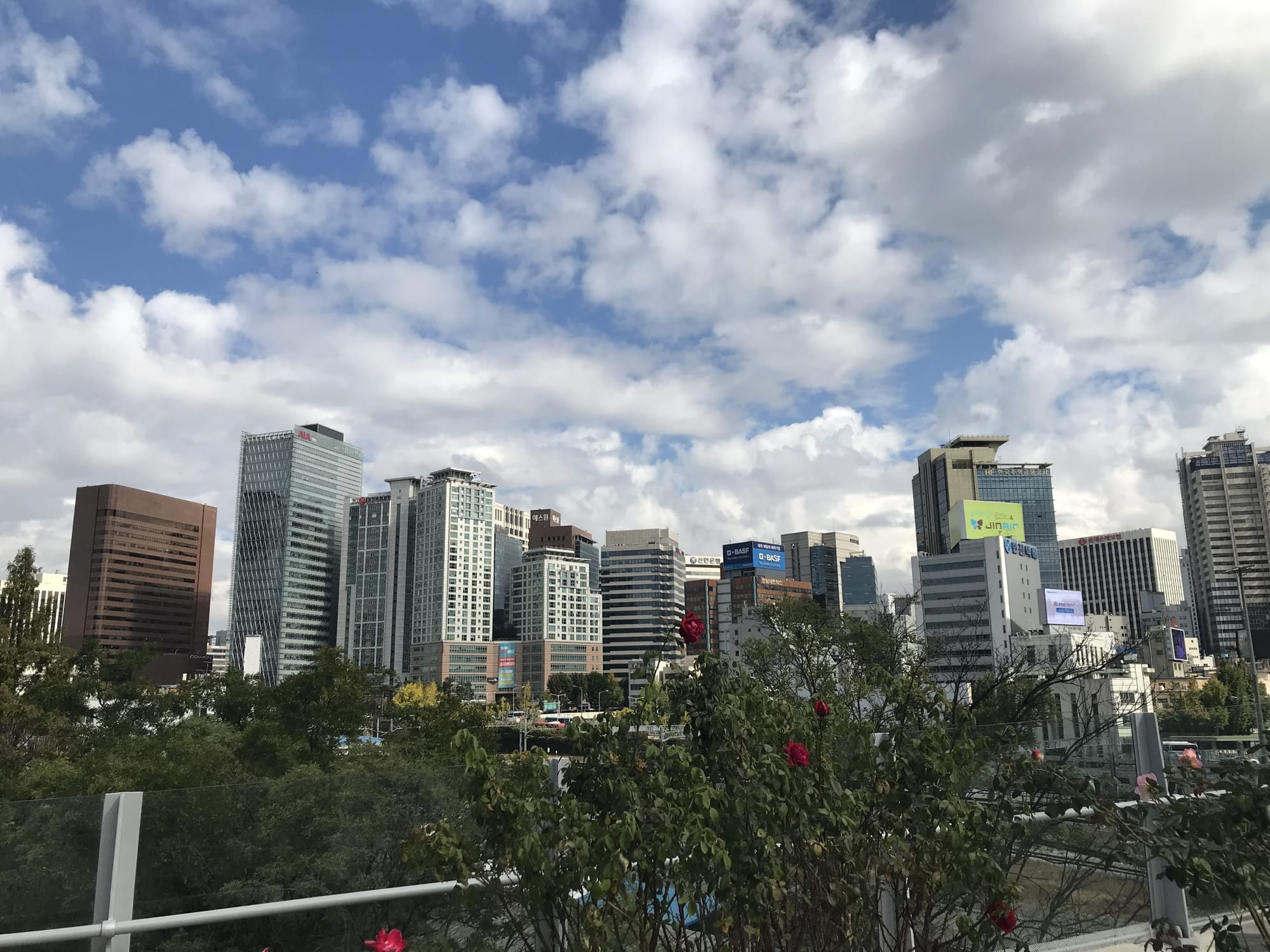 What We’re Reading: Mass Extinction, NRA Defeated, and Not Ripe