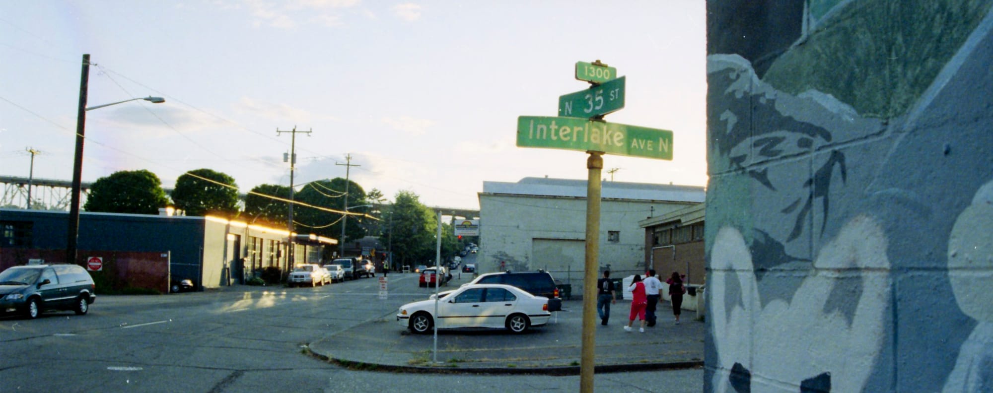 Lost in the Greenwoods