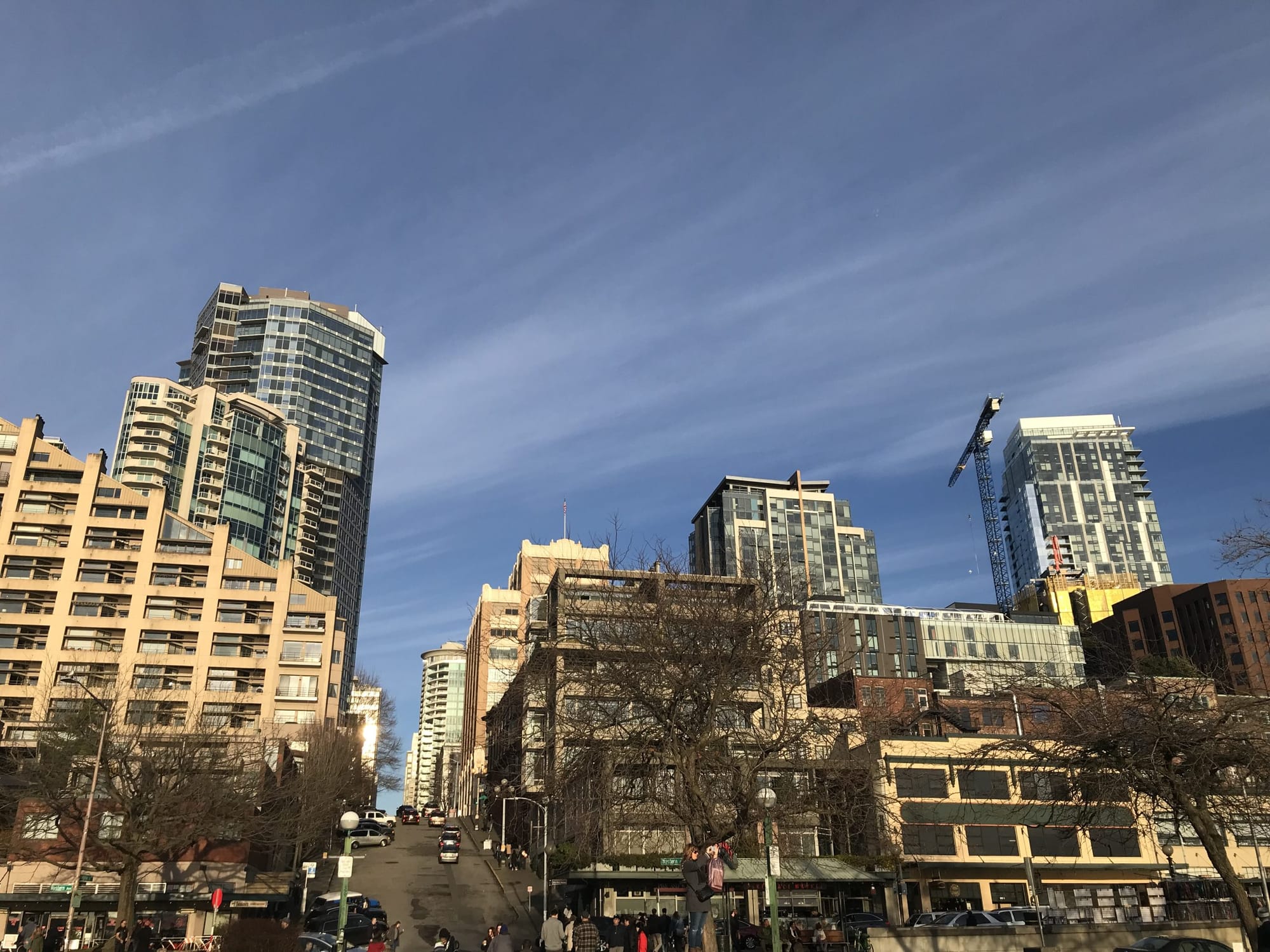 What We’re Reading: Climate Emergency, Nudge Choices, and Biking Boom