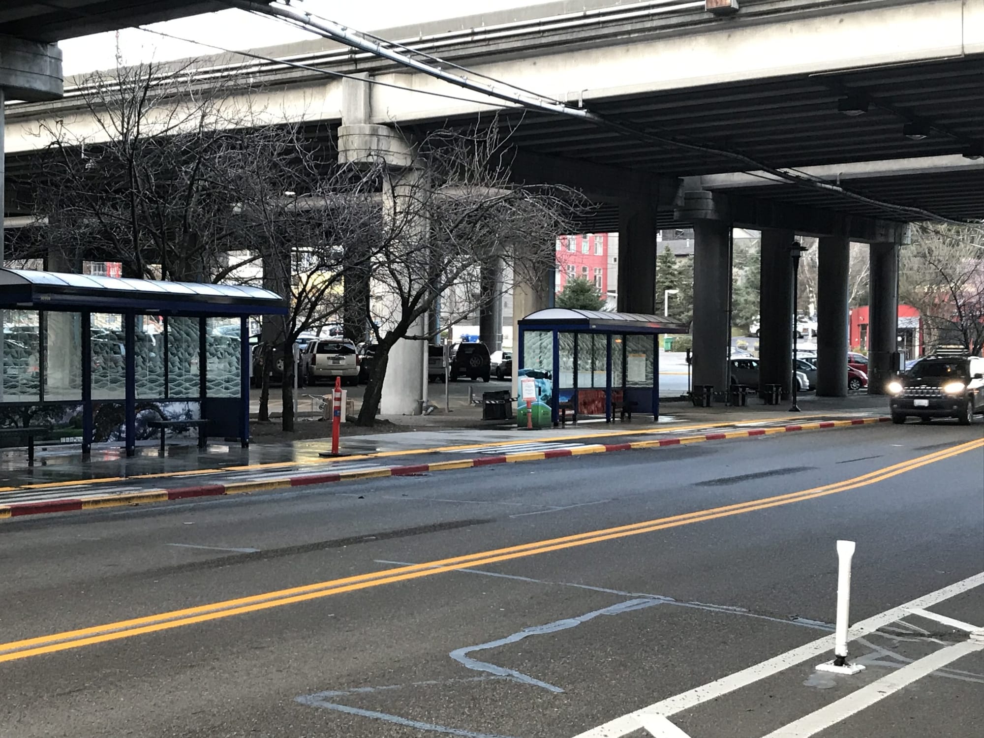 Roosevelt and Green Lake See Rollout of Walking, Biking, and Transit Infrastructure