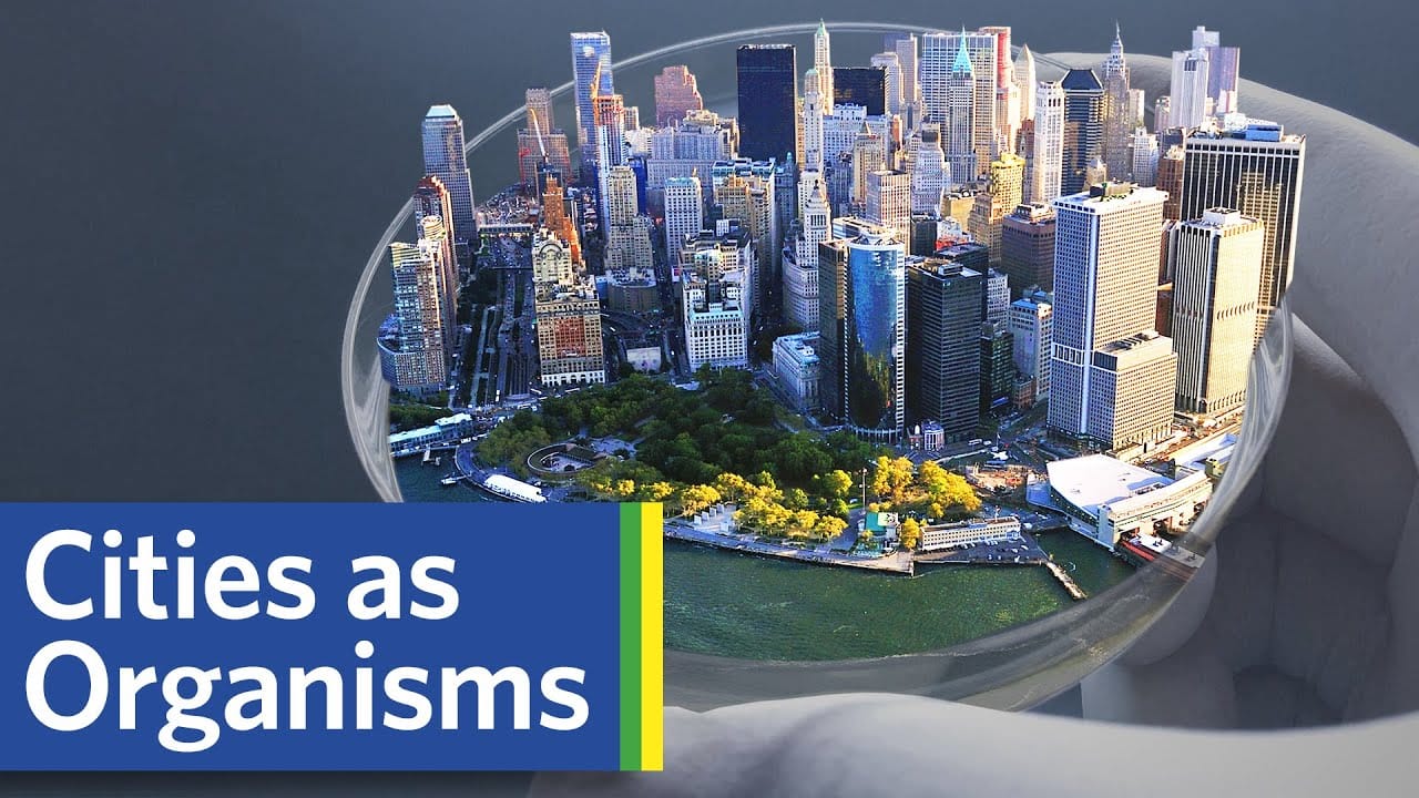 Sunday Video: Are Cities Like Organisms?