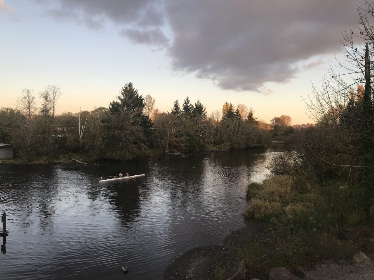 What We’re Reading: Unconscionable﻿, Duh, and Ballot Box Planning