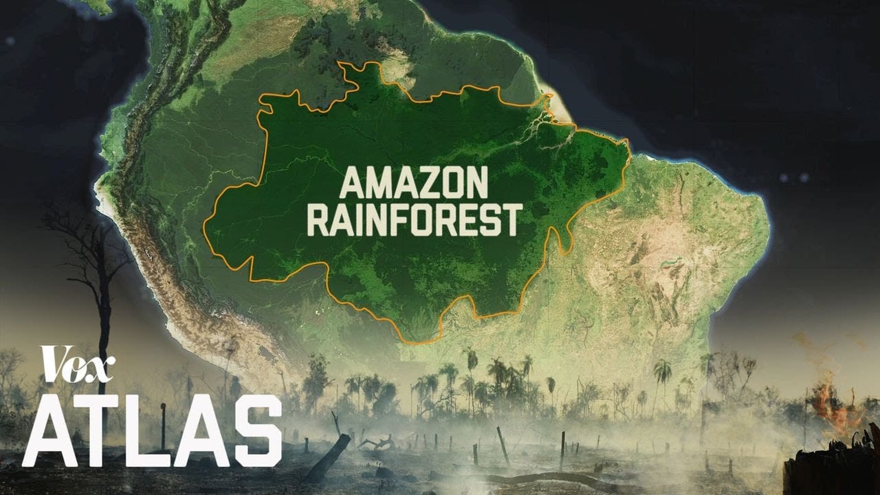 Sunday Video: Destruction of the Amazon
