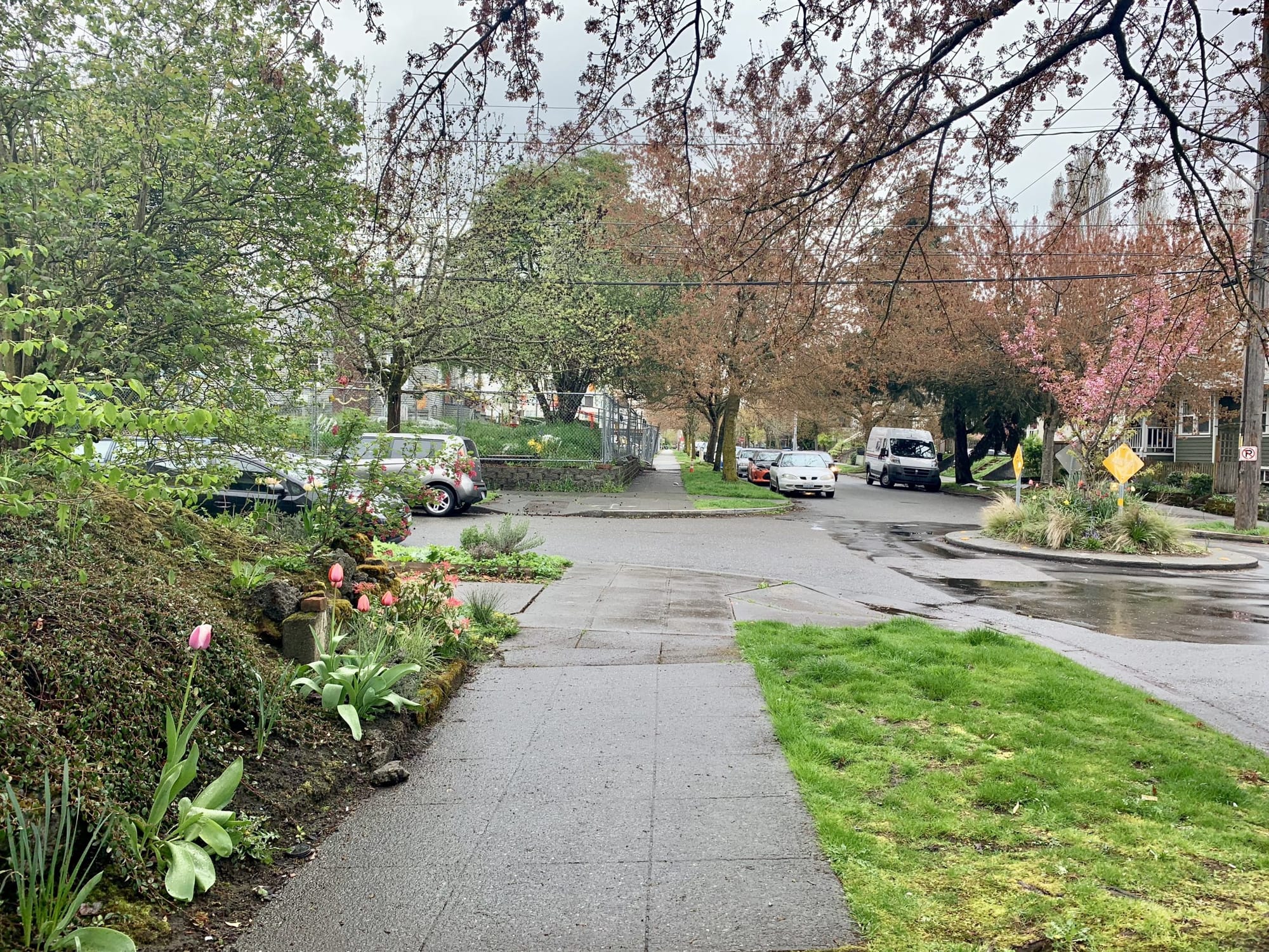                      Will Washington Become One of the First States to Require Climate Action through Urban Planning?
                     