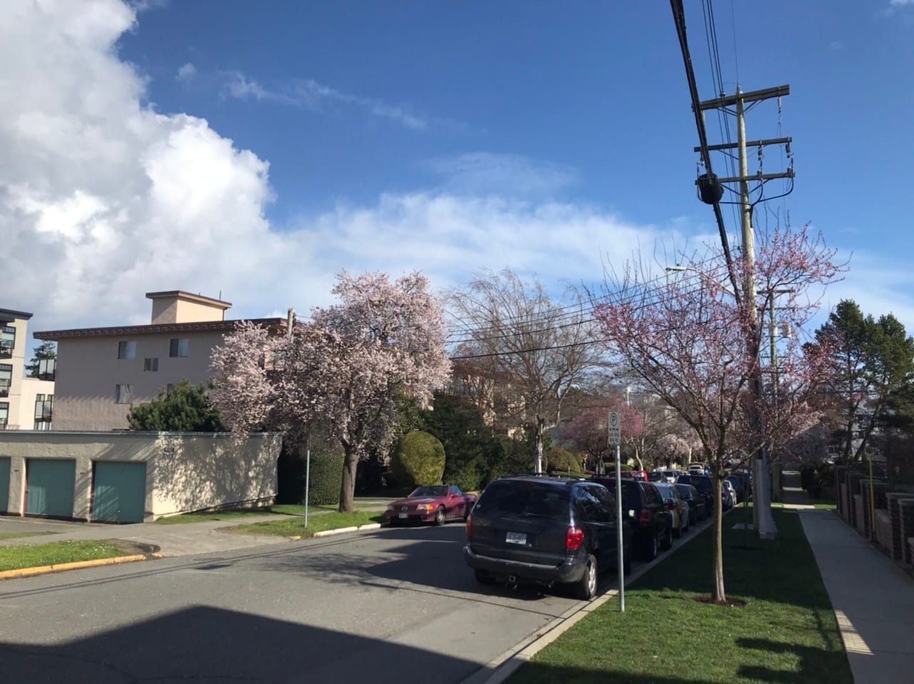 What We’re Reading: Halt, Emptying Food Banks, and Pandemic Privilege