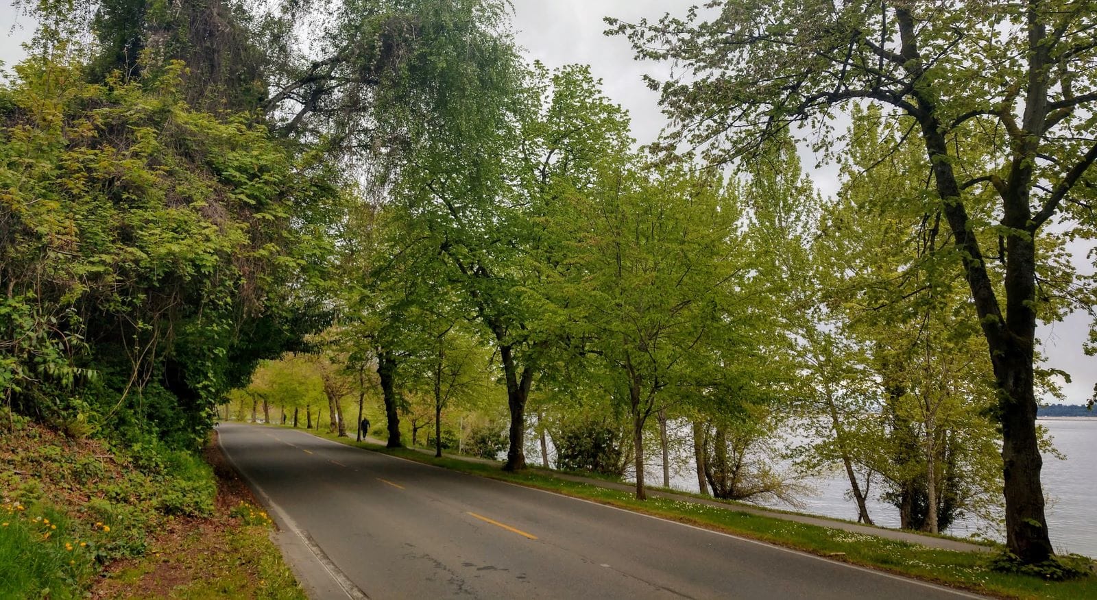 SDOT Announces Four More Miles of Open Streets Plus Lake Washington Boulevard Pilot