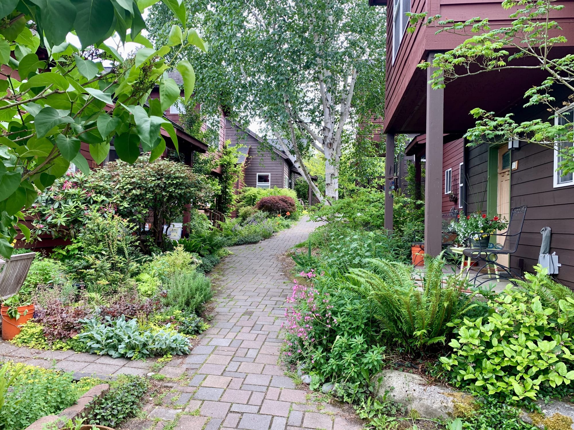                      Designing for Community in the Covid City
                     