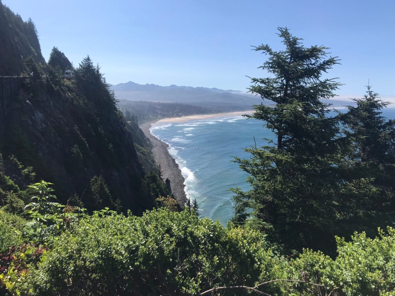 What We’re Reading: Rent Crisis, Still Counting, and Help Needed