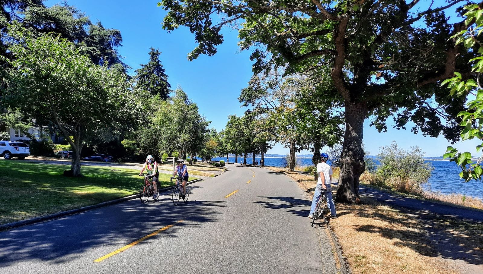 Lake Washington Boulevard Open Street Will Stay Confined to Weekends Despite Overwhelming Support