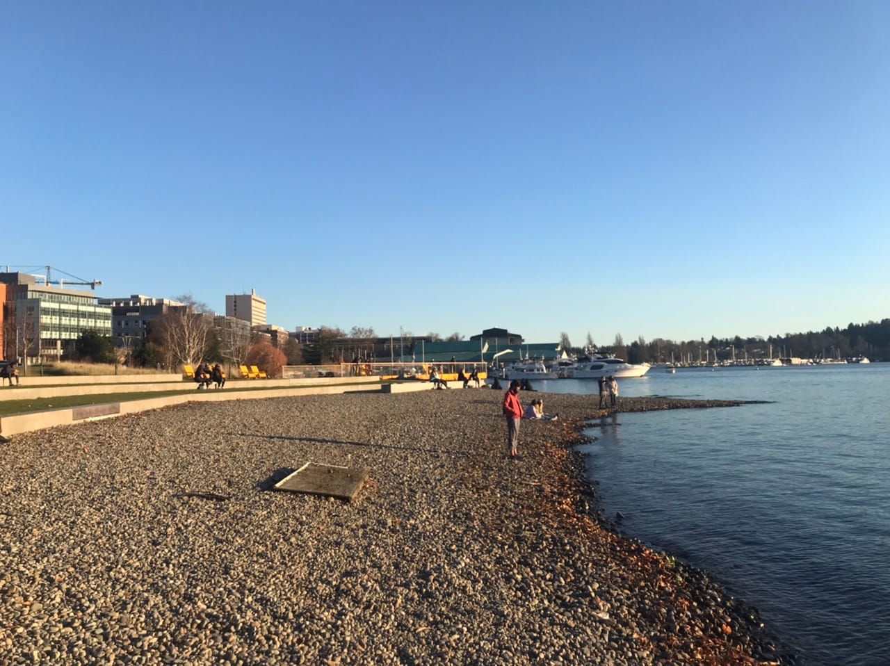 What We’re Reading: Protecting Multifamily Housing, Distracted, and Pierce County Coup Attempt