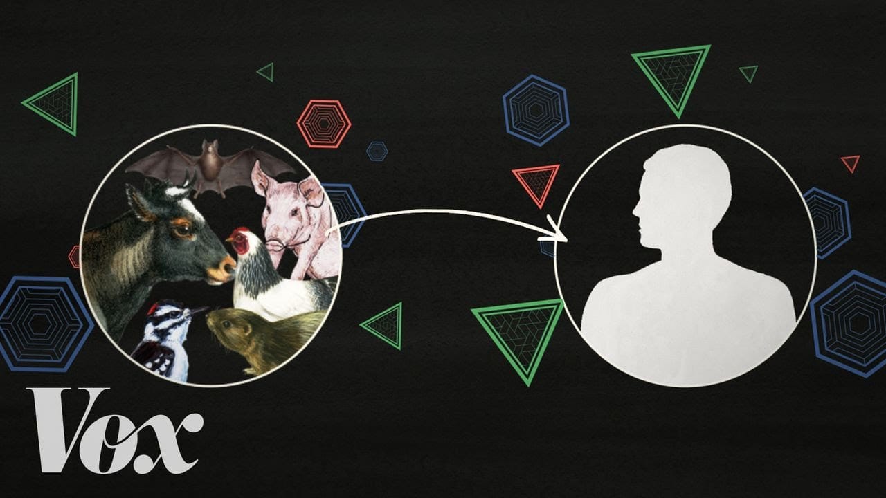 Midweek Video: How Humans Are Making Pandemics More Likely