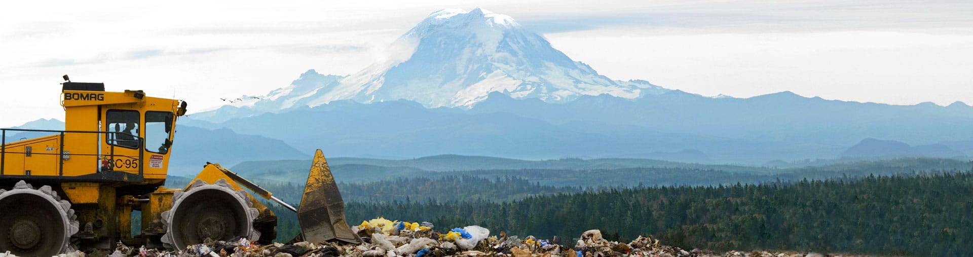 Nuance In My Backyard