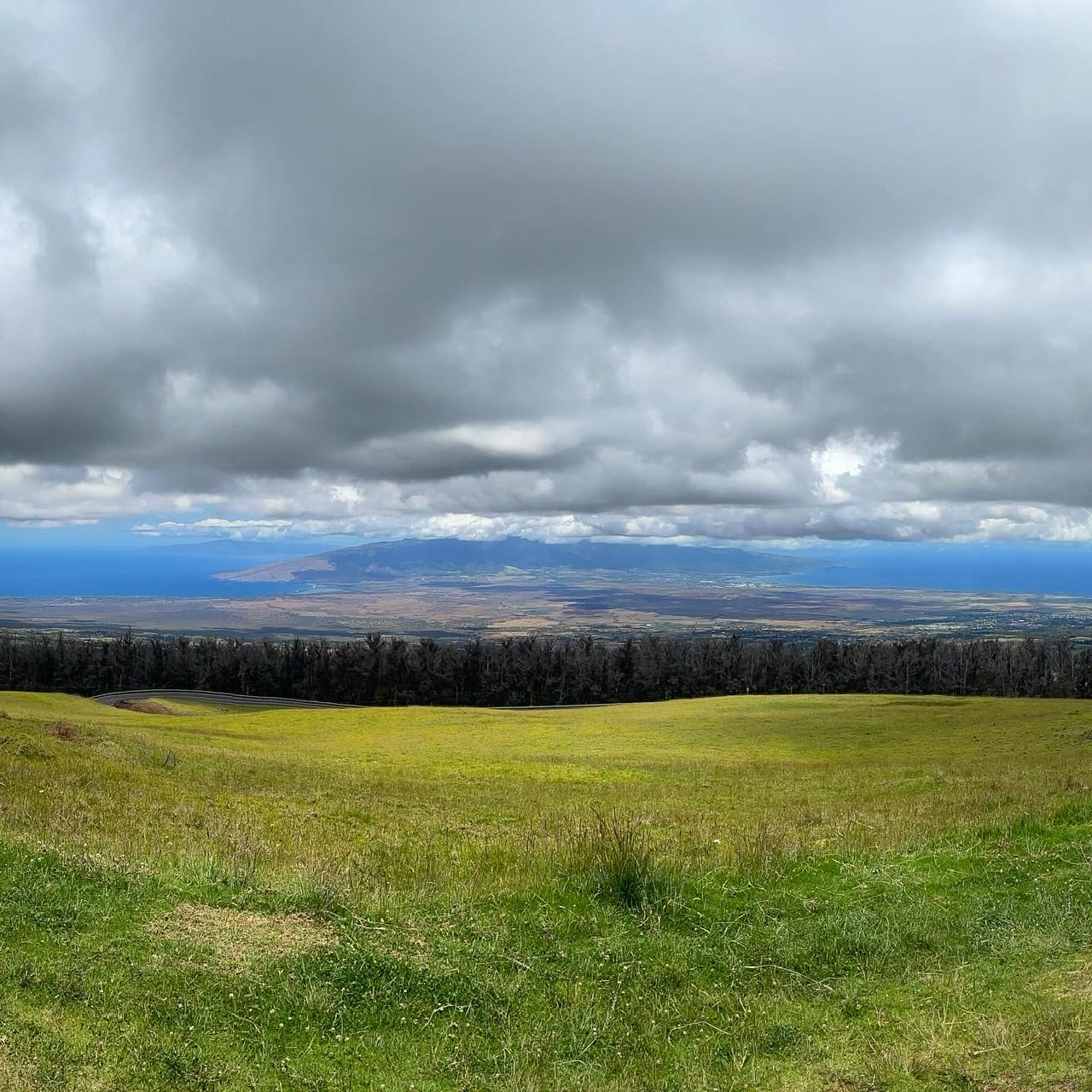 What We’re Reading: AFFH, RCV, and Euro Trends