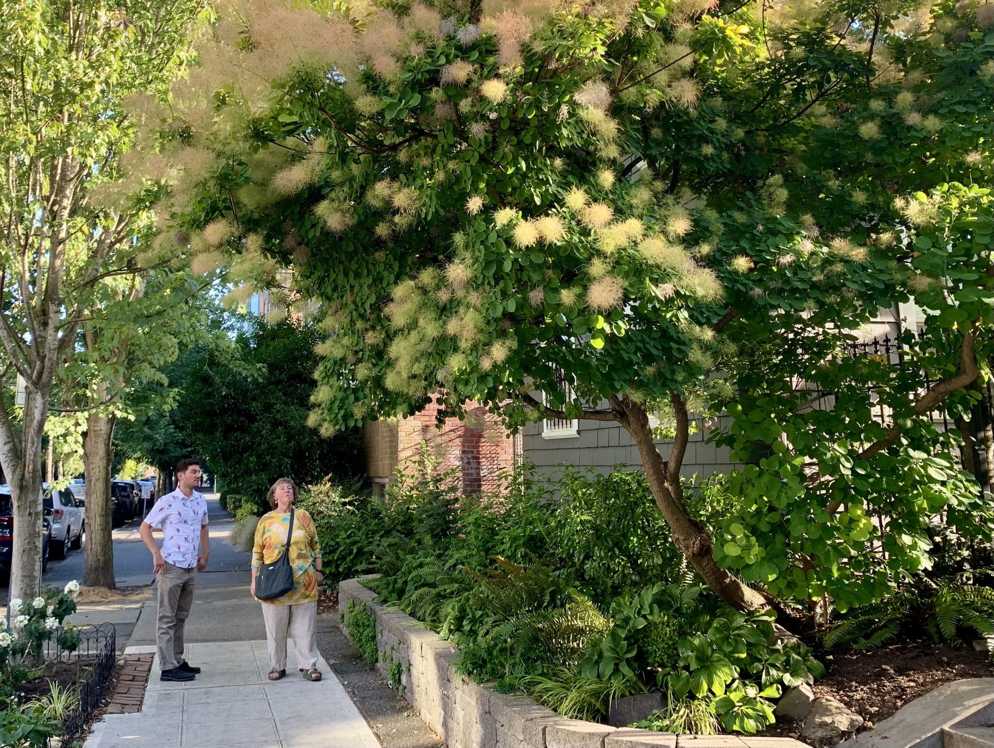 Extreme Heat and the Legacy of Racist Housing Policies in Seattle