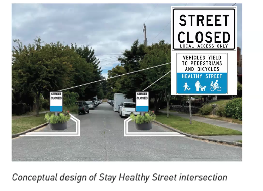 Two signs on opposite sides of the street with planter boxes, inside painted lines