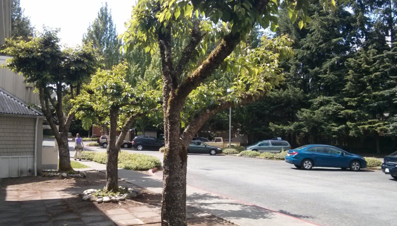 Bellevue to Pilot a Safe Parking Program for Unhoused Residents in Vehicles