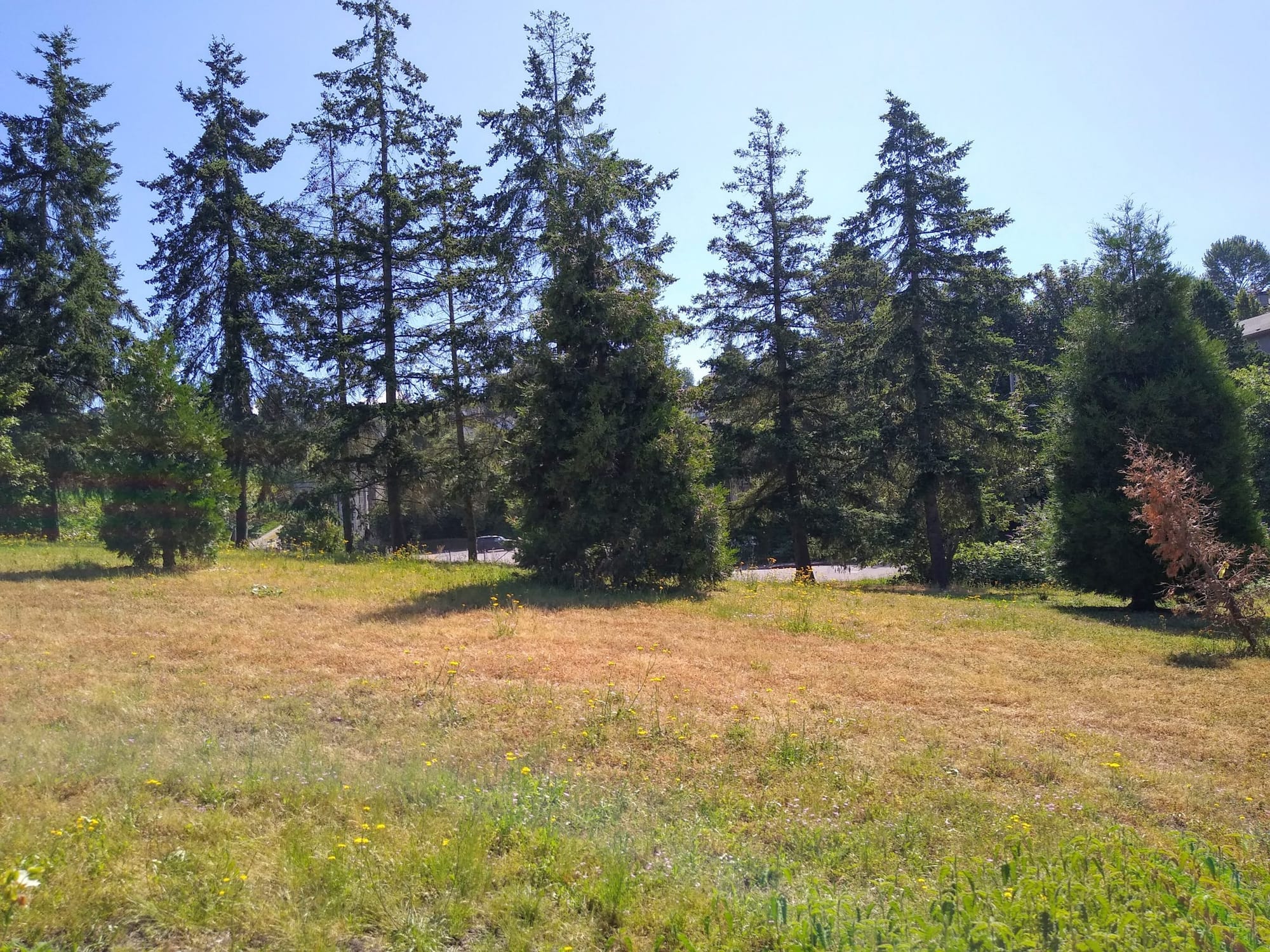 Rainier Valley Greenway Remains Unfinished, Despite Plans Drawn Up and Ready