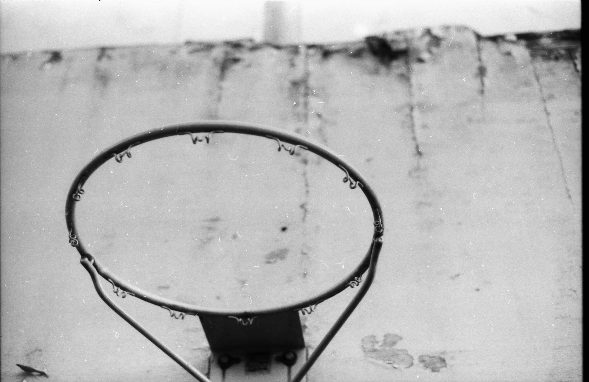 The View From Nathan’s Bus: Of Dogs and Men