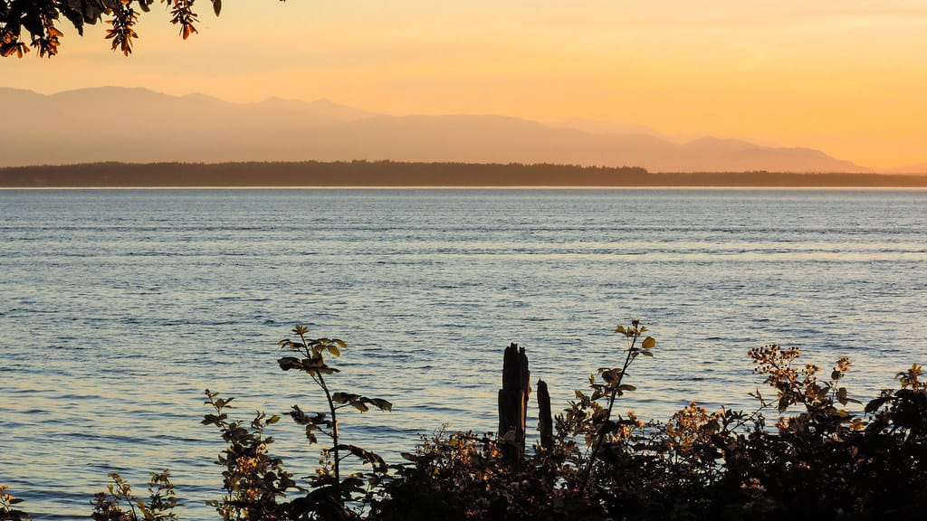 Congress Approves Record $54 Million for Puget Sound Recovery