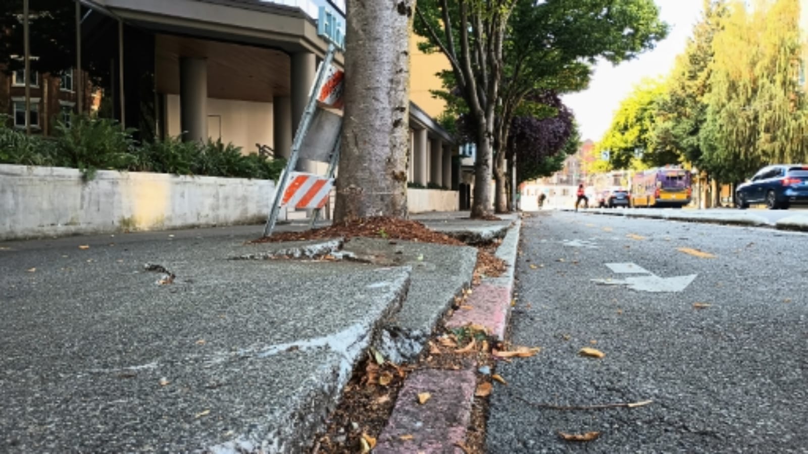 Morales Proposes Adding Sidewalks to Seattle’s Complete Streets Ordinance