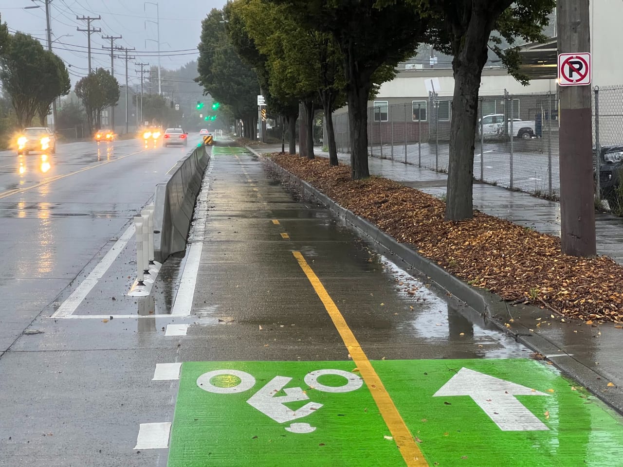 Completed Duwamish Trail Connection Led to Doubling of Walking and Biking