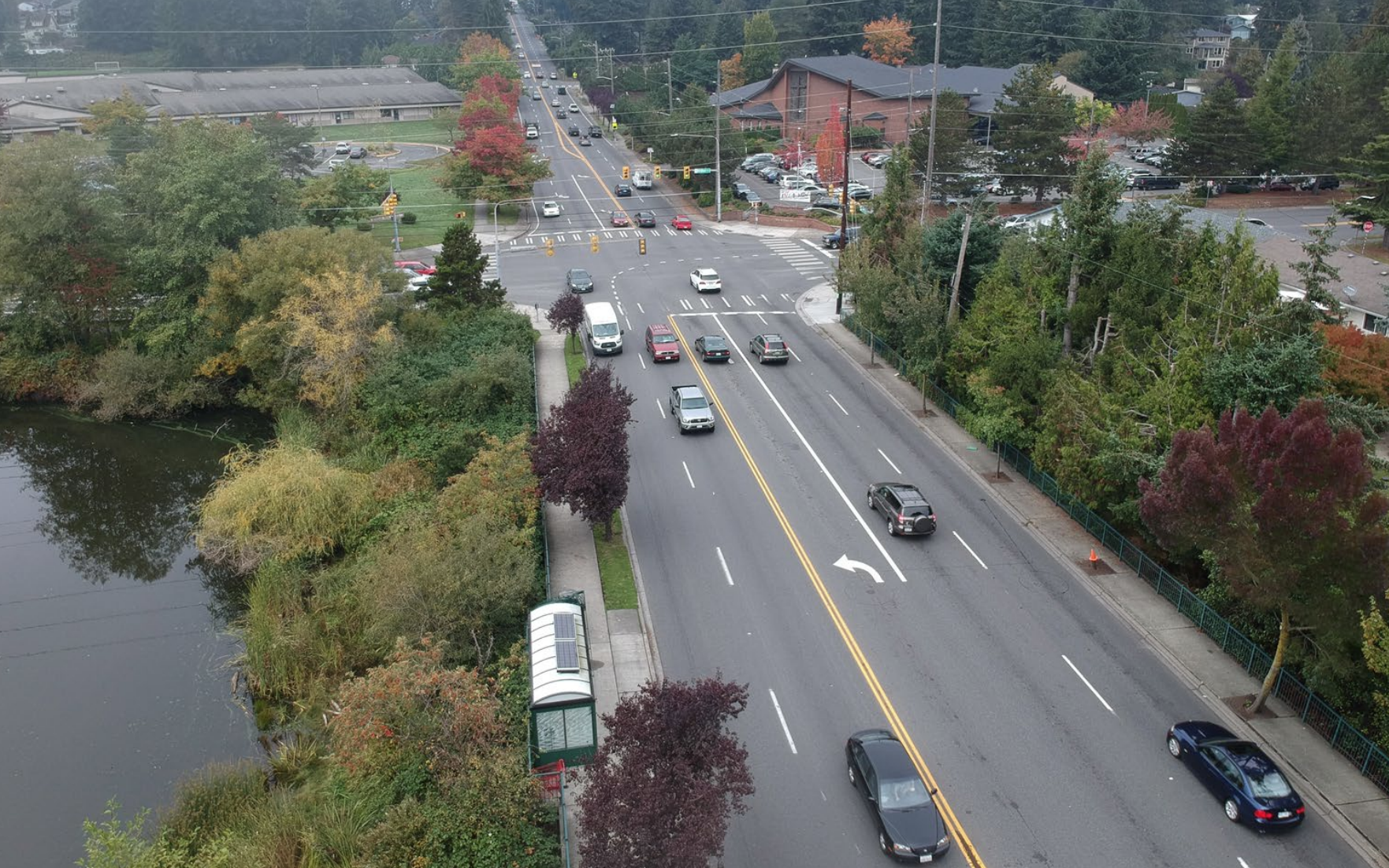 Shoreline Sticks with 175th Street Revamp Despite Pushback Over Trees