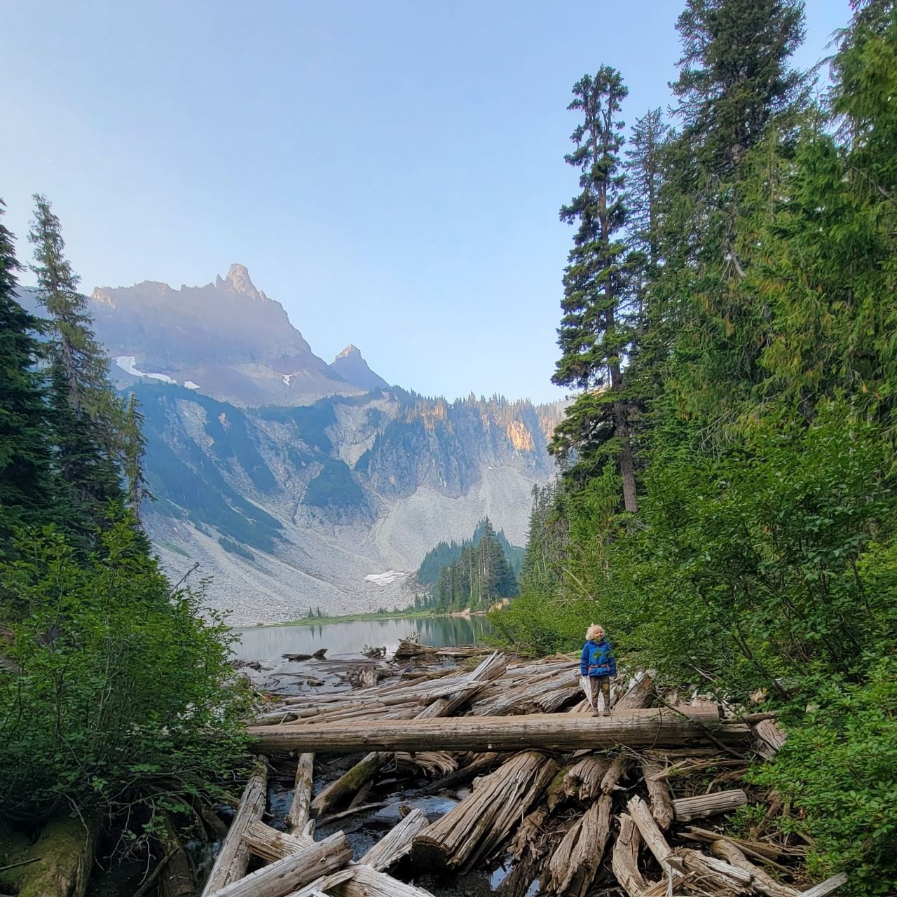 A young boy stands on a pile of logs with a lake  and mountain peak in the distance.