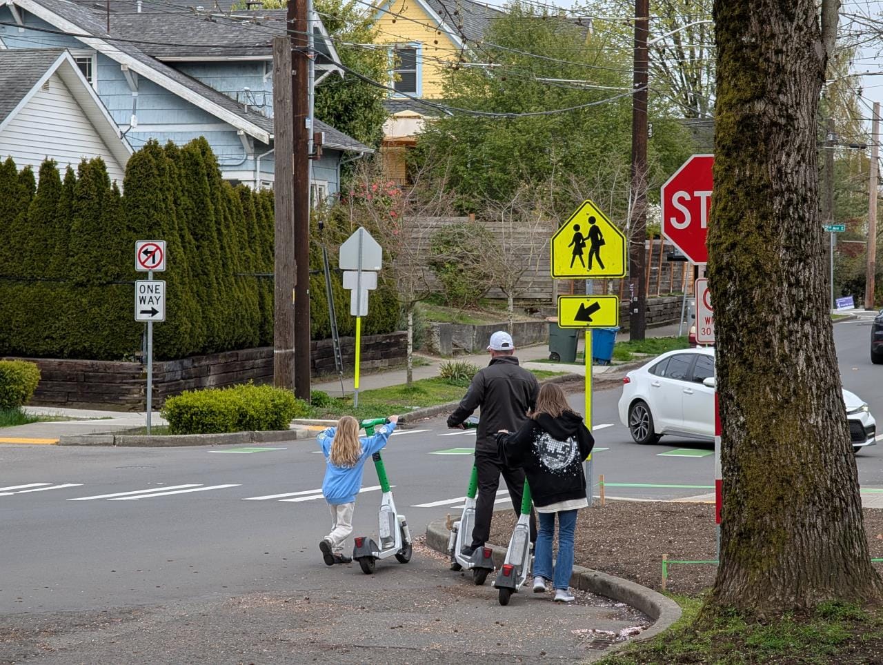 A father and two girls walk scooters across a crosswalk in leafy Capitol Hill.