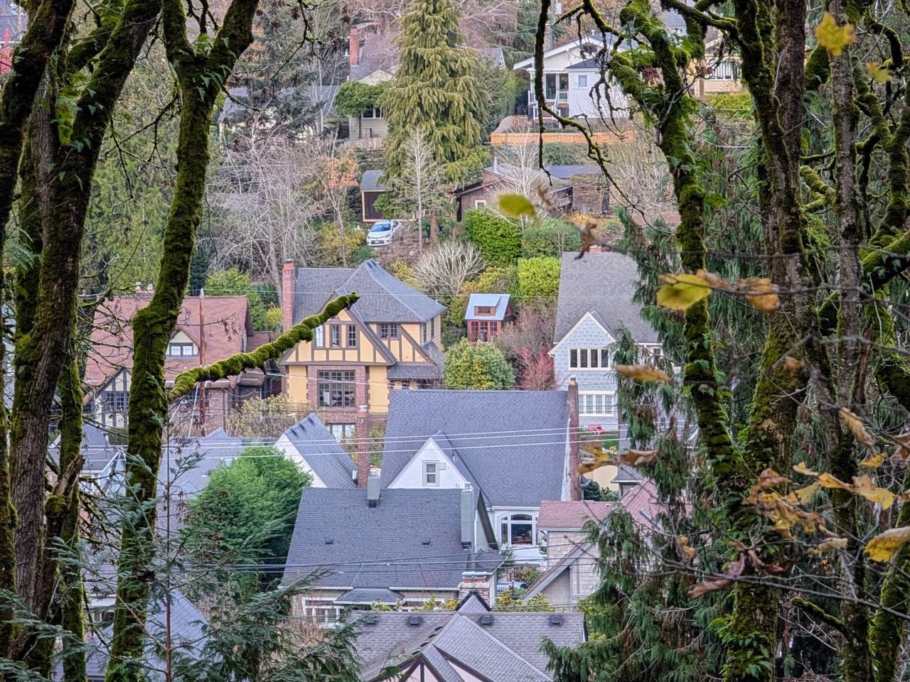 Moss trees in the foreground and Tudor cottages in the background.