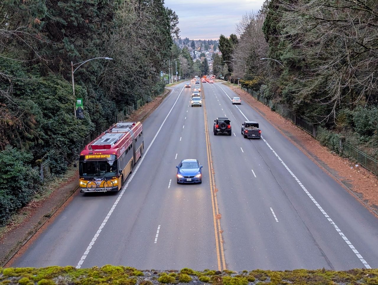 The view north up Aurora Avenue with Woodland Park trees looming on either side. The mossy pedestrian bridge is visible at the bottom of the frame.