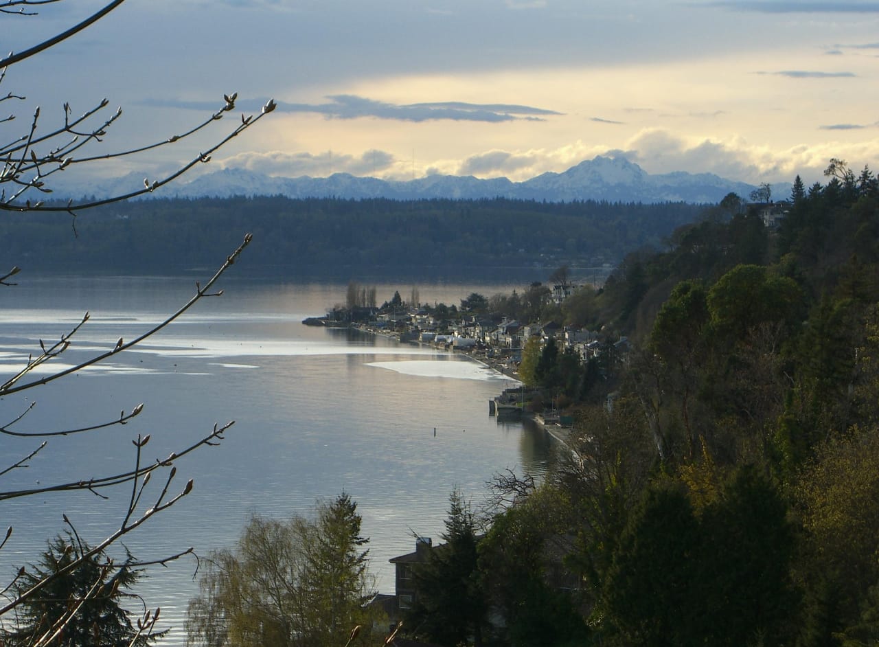 Burien Eyes Rolling Back Zoning Changes in Response to Homeowner Pressure