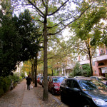 10511058783_60fd1bf1f3_k