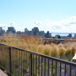 living-building-pilot