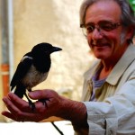 CommonSenseUrb_ChuckWolfe11-bird